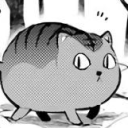 bad-but-trying-to-write avatar