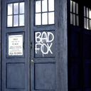 bad-fox-in-a-blue-box avatar