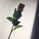 bad-girly2800 avatar