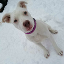 badasssupermann avatar