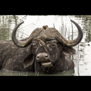 badcompanyfabshop avatar