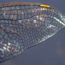 badcrummbs-blog avatar