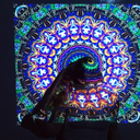 baddestkeezybaby avatar