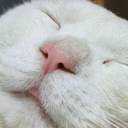 bademjoooooooooooon-blog avatar