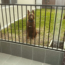 badforyahealth avatar