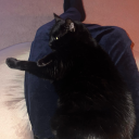 badgalpriipri avatar