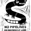 badger-actual avatar