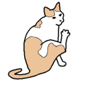 badger-prince avatar