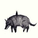 badwolfscenario avatar