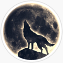 badwolfwitch avatar