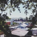 badwritinghabits avatar