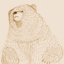 baer-von-pappe avatar