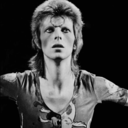 baevid-beauie avatar