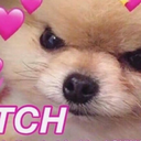 bagatelleno25 avatar