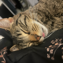 bagelbitch567 avatar