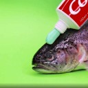 bagelisfriend avatar