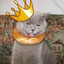 bagelkittenblog avatar