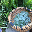 bagladyproblems avatar