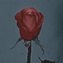 bailabailabaila avatar