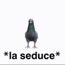 bailey-the-second avatar