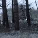 baileyboo0320 avatar