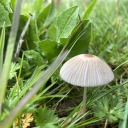 baileyondemand avatar