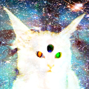 baja-blastoid avatar