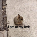 bajablastinoffdude avatar