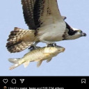 bakabakabakalahhh avatar