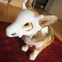 bakahenpie avatar