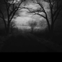 bakerchick4life avatar