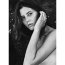 bakerfuxwitit-blog avatar