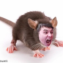 bakinggbaconpancakes-blog avatar