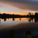 bakingpro3144 avatar