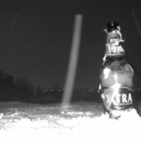 bakmacokguldugume avatar