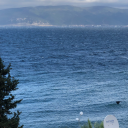 bakugansstuff avatar