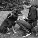 balanceandcombrosure avatar