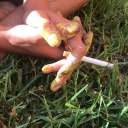 balanced-by-sadness avatar