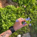 balanceiskeyyy avatar