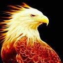 baldphoenix avatar