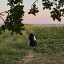 baliklamadalangozler avatar