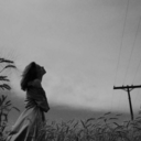 balkondakilili avatar