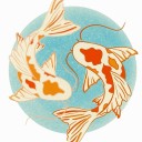 ball-of-insecurities avatar