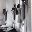 balladofnight avatar