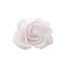 ballerinapetal avatar