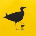 ballisticarain avatar