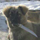 ballofbisexualanxiety avatar