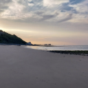 ballonleamusings avatar