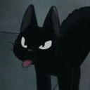 balloooncatsonasunnyday avatar