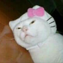 ballspoopguchlubxoxo avatar